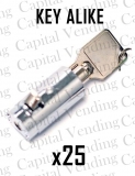 Key Alike Locks for Vending Operators